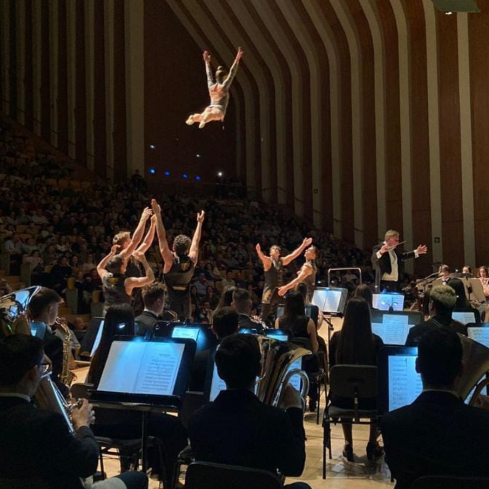 carteles-piccolo-betera-38